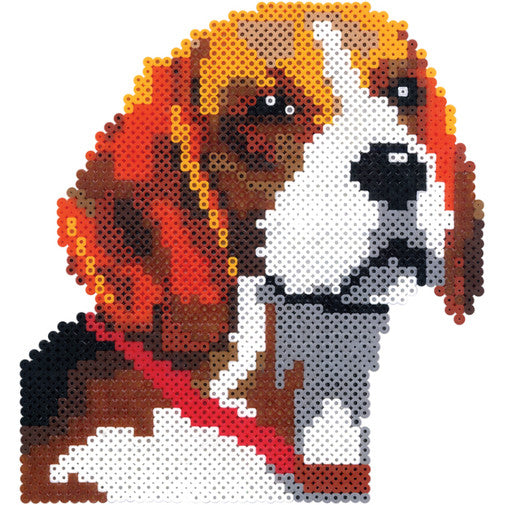 Beagle