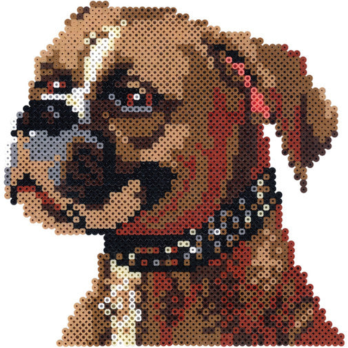 Boxer