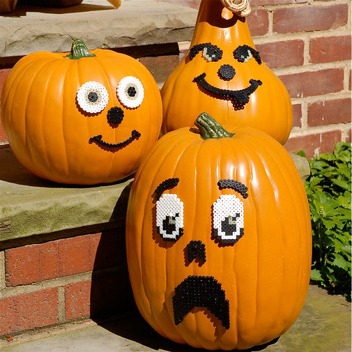 Pumpkin Family