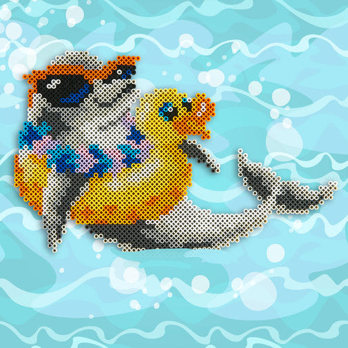 Dolphin and Ducky