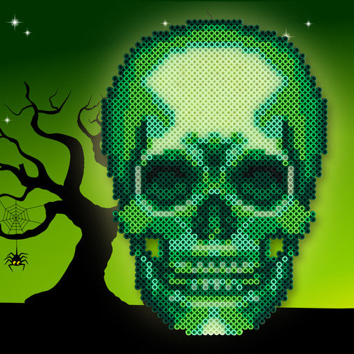 Xray Skull