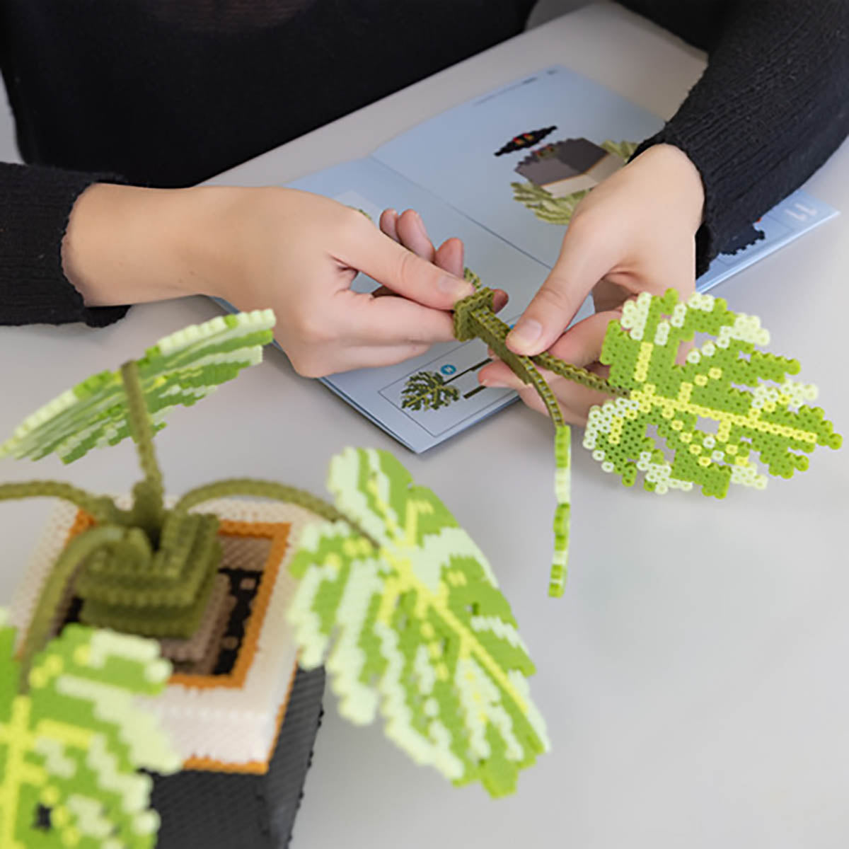 perler bead succulent Perler 3D Monstera Plant Fused Bead Activity Kit