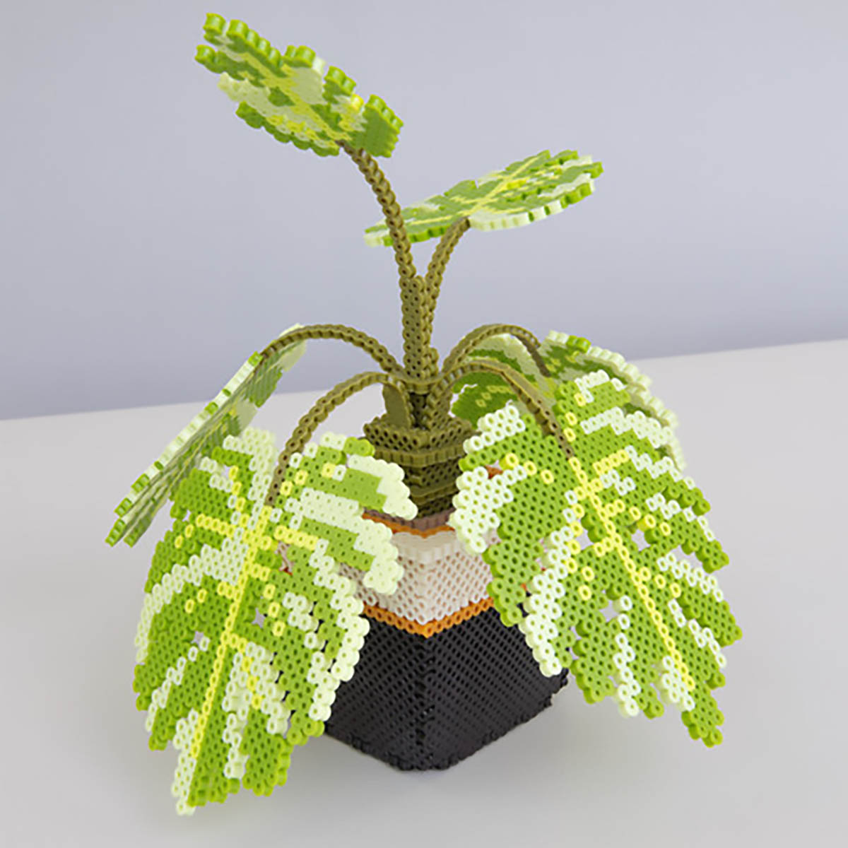 succulent perler bead pattern Perler 3D Monstera Plant Fused Bead Activity Kit